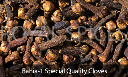 Bahia-1 Special Quality Cloves