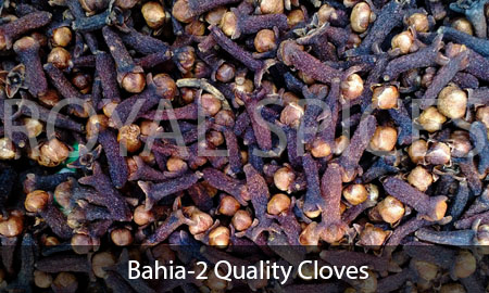 Bahia-2 Quality Cloves